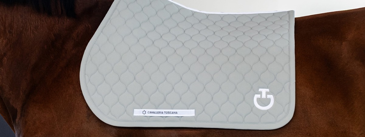 Cavalleria Toscana | Klassiker