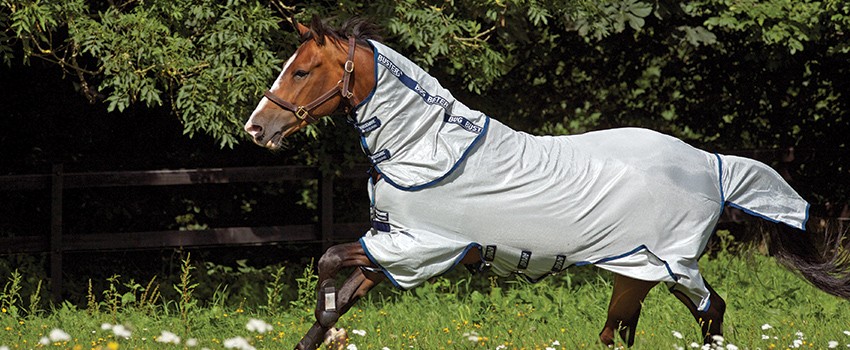Horseware | Sommer 2021 Horseware | Sommer 2021