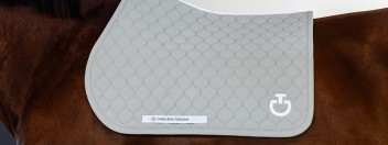 Cavalleria Toscana | Klassiker