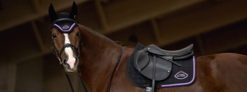 Equiline | Frühjahr-Sommer