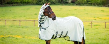 Horseware | Sommer