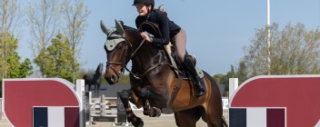 Kingsland Frühjahr/Sommer