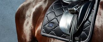 Equestrian Stockholm | Classics