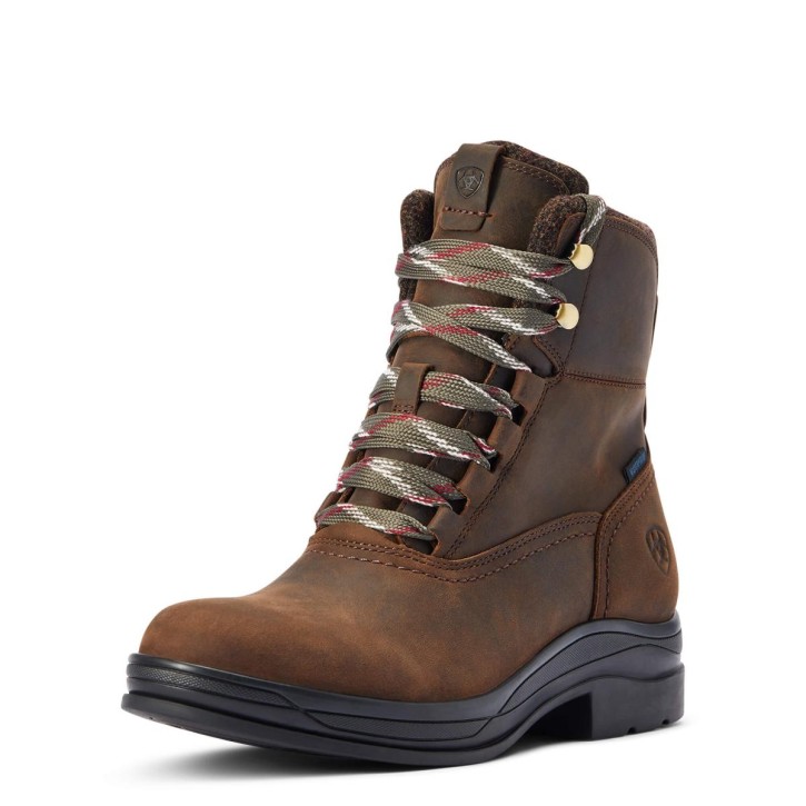 Ariat Damen Harper Wasserfeste Stiefelette Chocolat- Braun