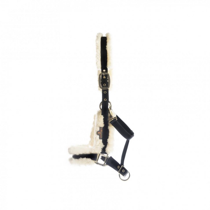 Kentucky Nylon Halfter Natur