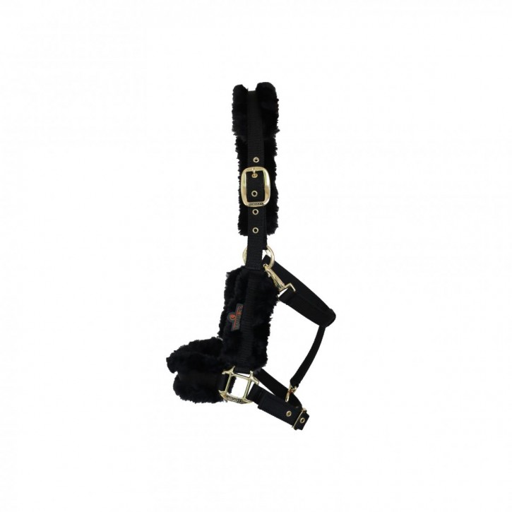 Kentucky Nylon Halfter schwarz