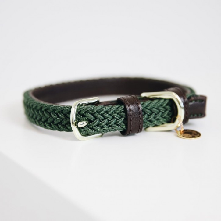 Kentucky Hundehalsband Nylon olivgrün