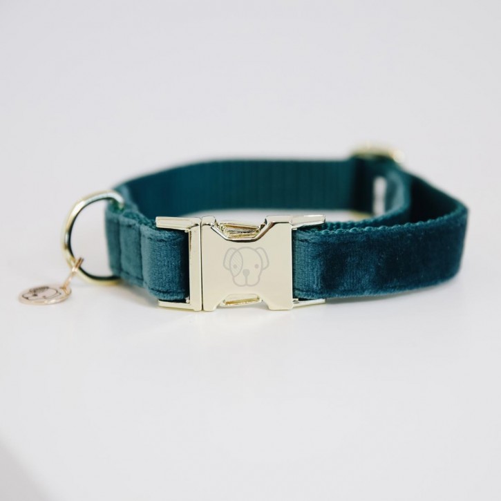 Kentucky Hundehalsband Velvet smaragd