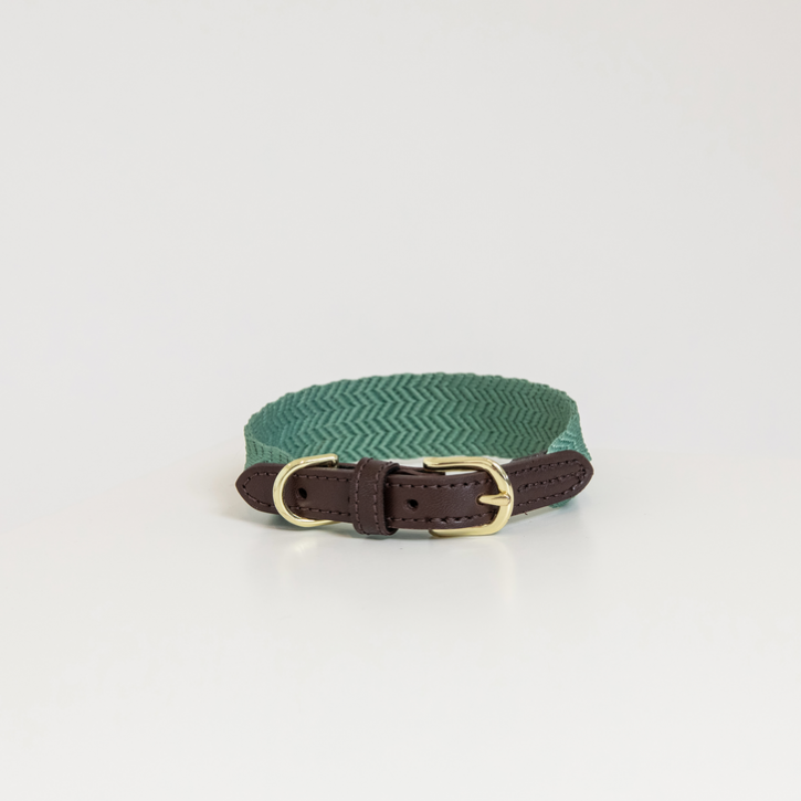 Kentucky Hundehalsband Jacquard olivgrün ML