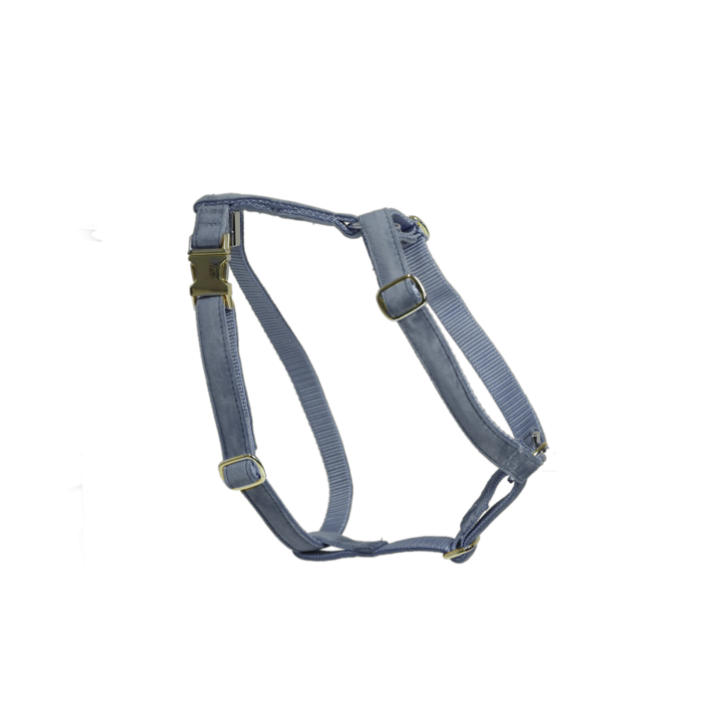 Kentucky Hundegeschirr Loop Velvet hellblau