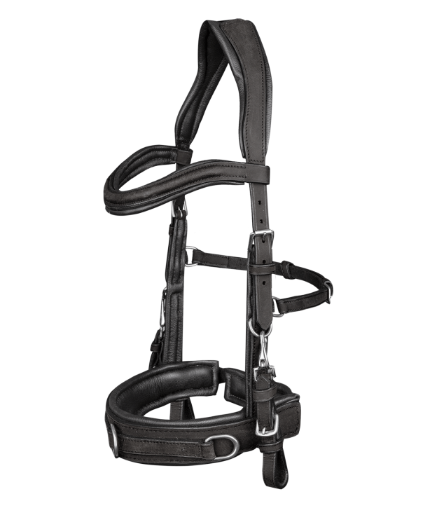 Waldhausen Leder Kappzaum Anatomic schwarz