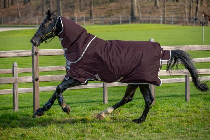 Horseware Amigo Hero Ripstop Plus Fig/Silver Medium 200g