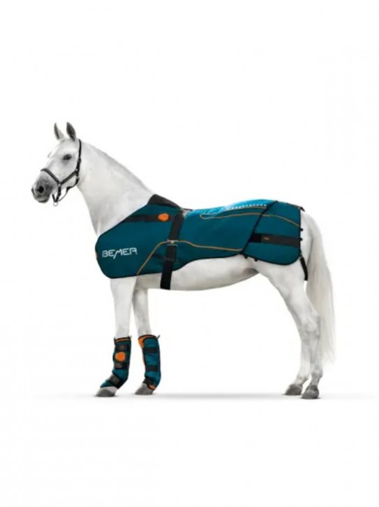 Bemer Horse Set