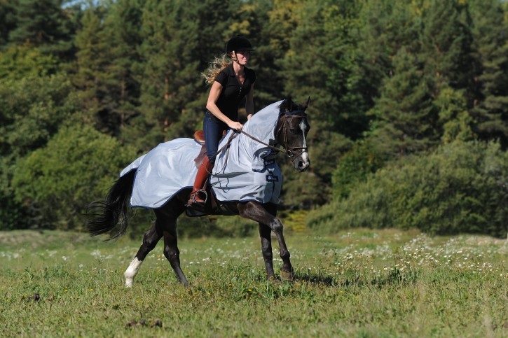 Bucas Fliegen Ausreitdecke Buzz-Off Riding Silber-Navy