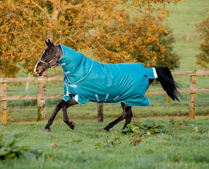 Horseware Amigo Bravo 12 Plus Turnout Heavy Storm Green 400g 125 & 145