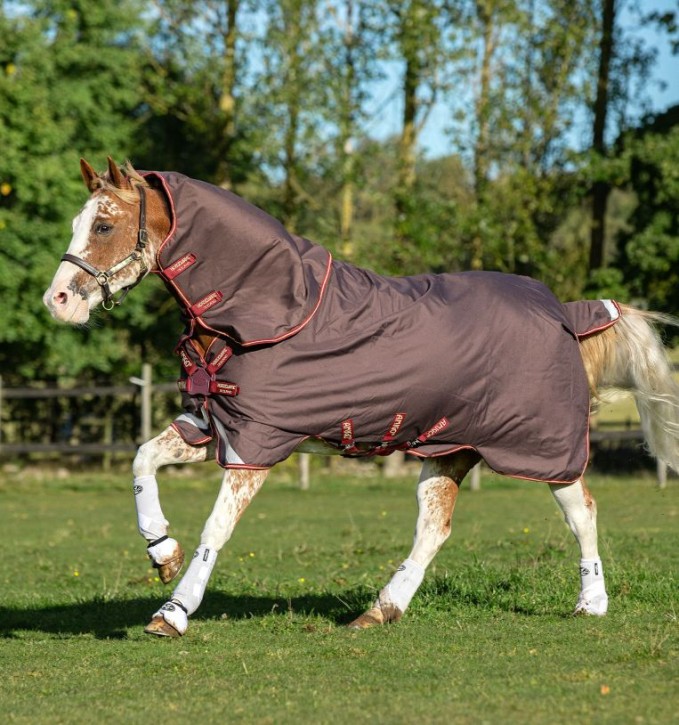 Horseware Amigo Bravo 12 Plus Outdoordecke Disc braun-rot/gold-rot 100g 145