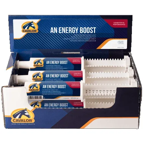 Cavalor An Energy Boost 6er Pack