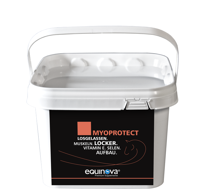 Equinova Myoprotect Powder