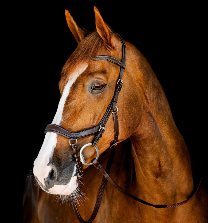 Horseware Micklem Competition Bridle braun Full