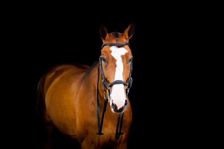 Horseware Micklem 2 Deluxe Competition Bridle Schwarz Full