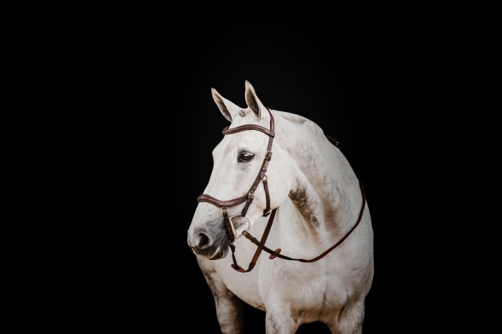 Horseware Micklem 2 Deluxe Competition Bridle Braun COB