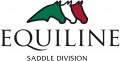 Equiline Saddle Division