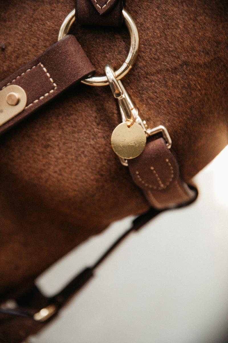 Kentucky, Namensschild, für Pferd und Hund, gold, silber