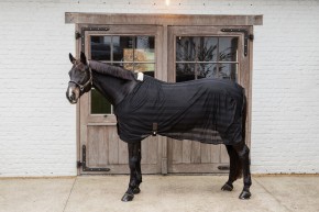 Kentucky Leichte Mesh Fliegendecke schwarz 135