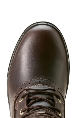 Ariat Stiefel Wythburn II Sherpa Waterproof dark mocha