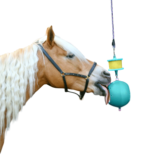 Likit Leckstein-Halter Boredom Breaker blau