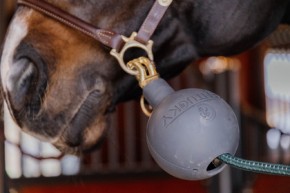 Kentucky Strick- und Wandschutz Ball Blau