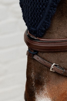 Kentucky Fliegenohren lang navy