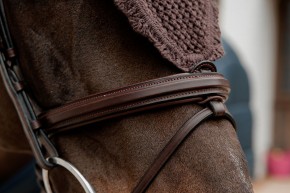 Kentucky Fliegenohren lang soundless braun