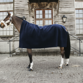 Kentucky Heavy Fleece Square Blau