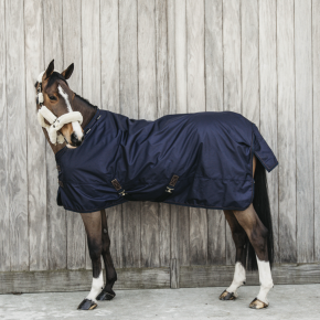 Kentucky Turnout Rug All Weather wasserdicht Pro 160g Navy 155