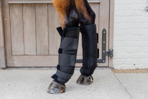 Kentucky Stallgamaschen PROtect Classic Hinterbeine