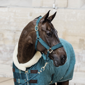 Kentucky Halfter Velvet Smaragd COB