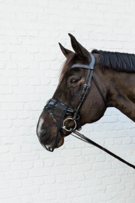 Kentucky Nasen Netz schwarz MEDIUM