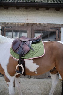 Kentucky Schabracke Softshell Onion Springen Olivgrün