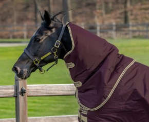 Horseware Amigo Hero Ripstop Plus Lite Fig/Navy & Tan 0g
