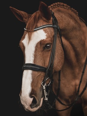 Equiline Kandare rundgenäht schwarz