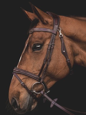 Equiline Trense anatomisch mit Kontrastnähten schwarz FULL