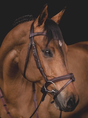 Equiline Trense mit abnehmbaren Sperrriemen braun