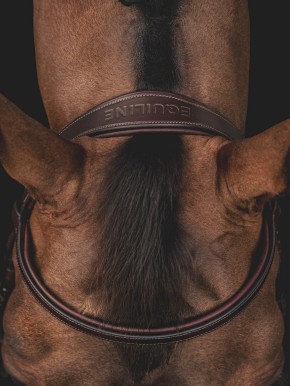 Equiline Trense mit abnehmbaren Sperrriemen braun