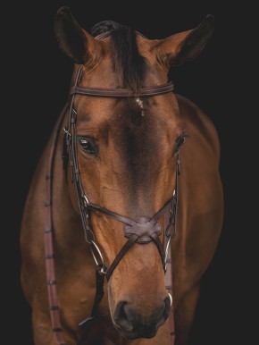 Equiline Trense mexikanisch schwarz