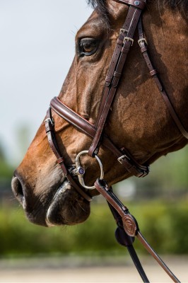 Trust Trense Calgary braun silber