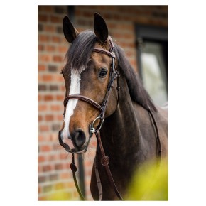 Trust Trense Geneva braun silber