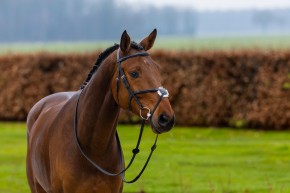 Trust Trense Oslo mexikanisch schwarz silber