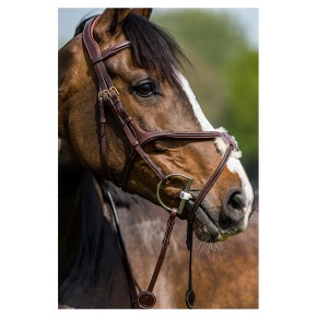 Trust Trense Oslo mexikanisch braun gold