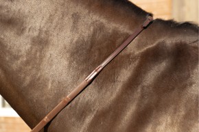 Trust Gummizügel Arezzo mit Noppen braun silber